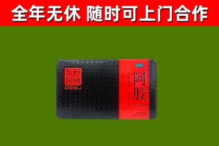 高密市回收阿胶