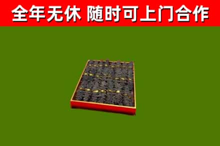 高密市回收海参
